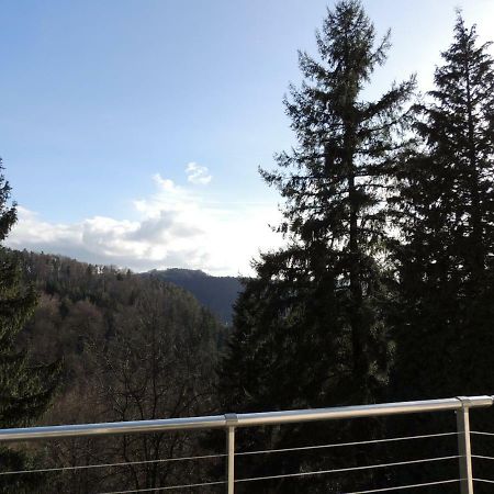 Gite Esperanza Spa Et Sauna Hazelbourg Exterior foto
