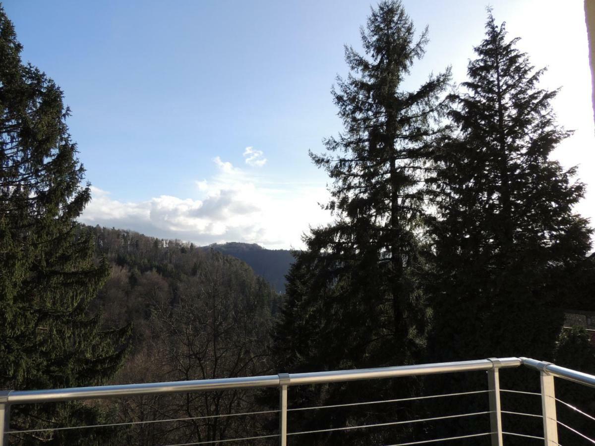 Gite Esperanza Spa Et Sauna Hazelbourg Exterior foto
